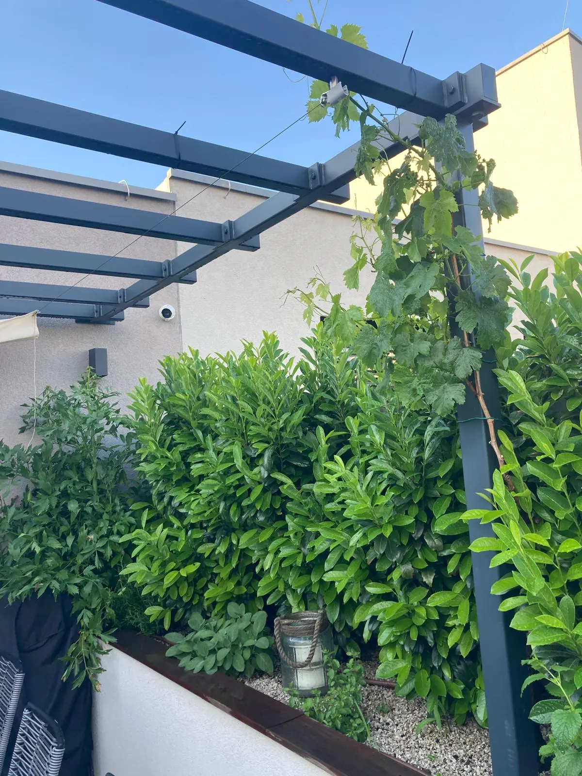 Kovová pergola